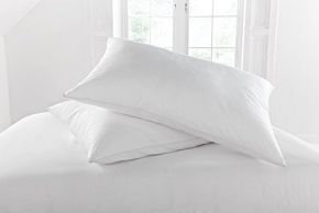 Unique Washable Pillow